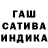Конопля индика NFNChampion