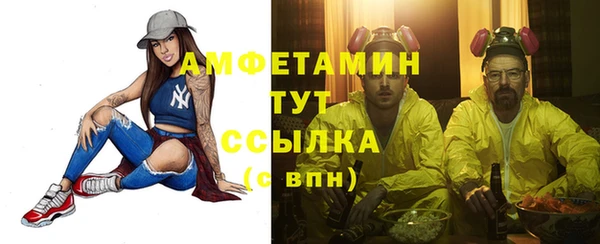 молекула духа Богородицк