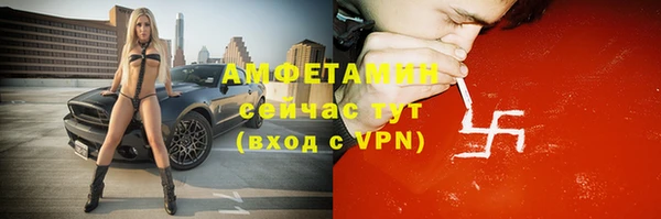 метадон Богданович