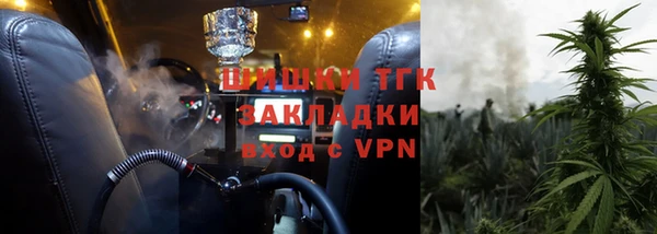 метадон Богданович