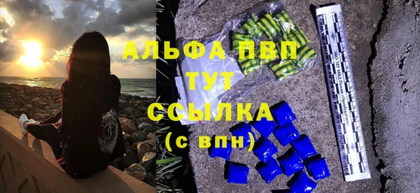 молекула духа Богородицк