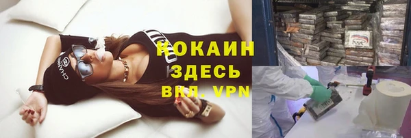 метадон Богданович