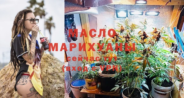 молекула духа Богородицк