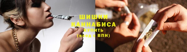 молекула духа Богородицк