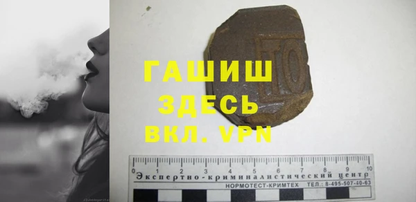 молекула духа Богородицк