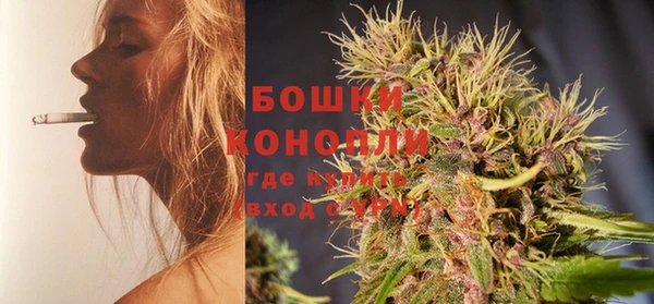 метадон Богданович