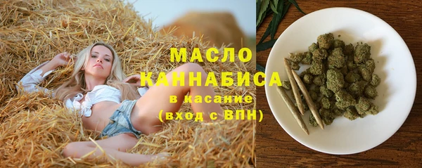 метадон Богданович