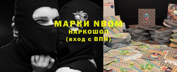 молекула духа Богородицк
