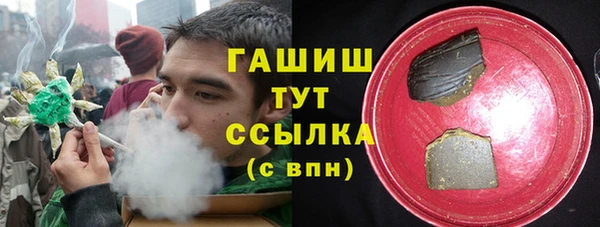 метадон Богданович